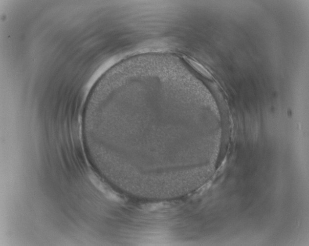 X0000078300100200611251518