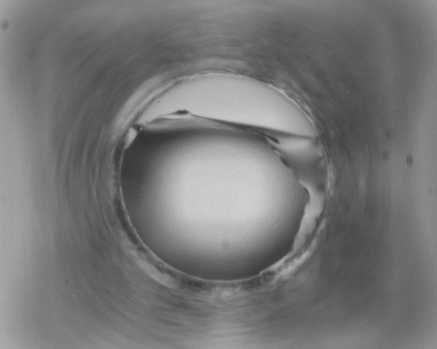 X0000078300101200611251518