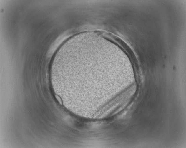 X0000078300103200611251518