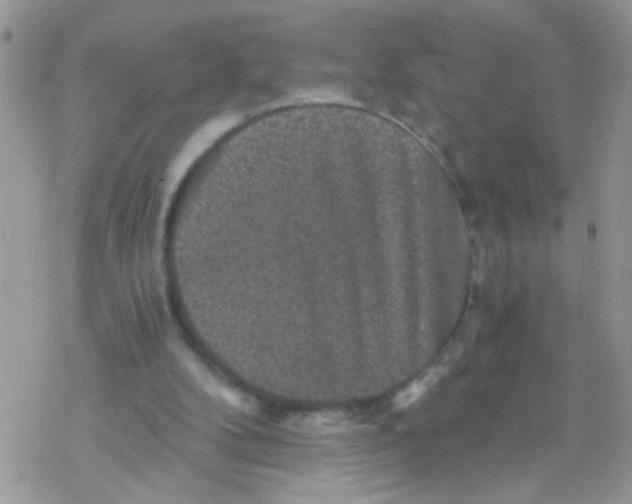 X0000078300104200611251518