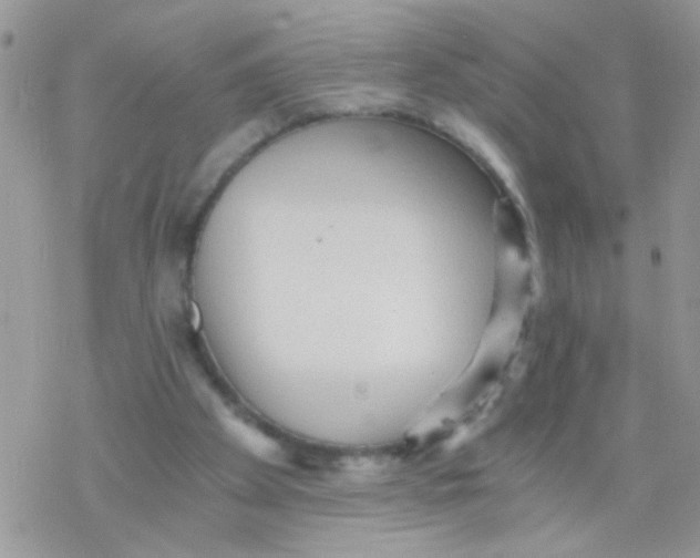 X0000078300105200611251518