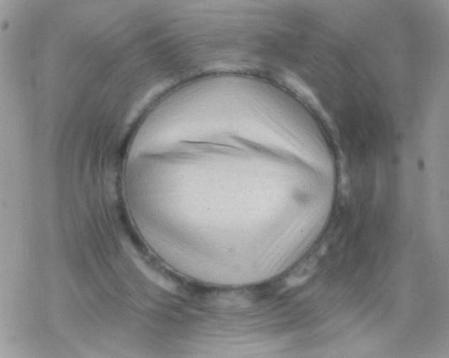 X0000078300106200611251518