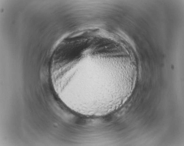 X0000078300107200611251518