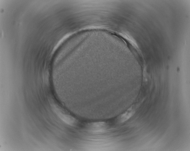 X0000078300108200611251518