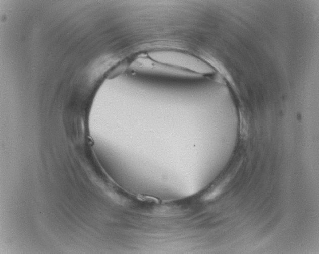 X0000078300109200611251518