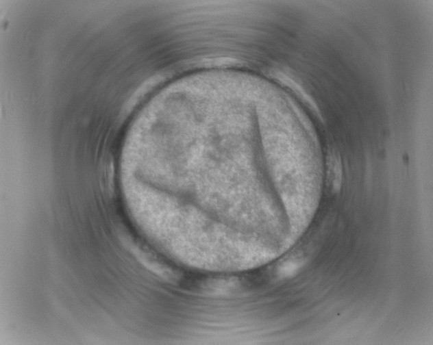 X0000078300110200611251518