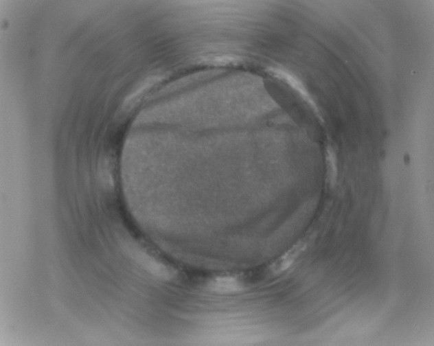 X0000078300114200611251518