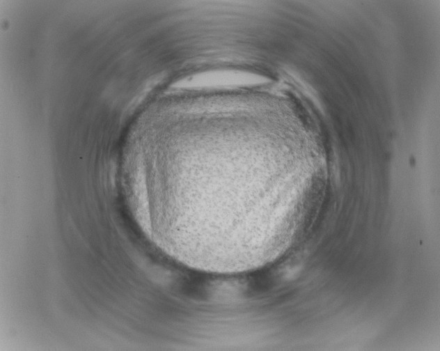 X0000078300115200611251518