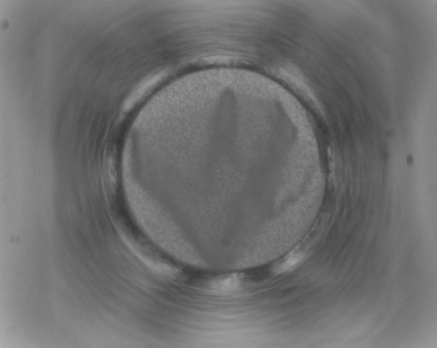 X0000078300116200611251518