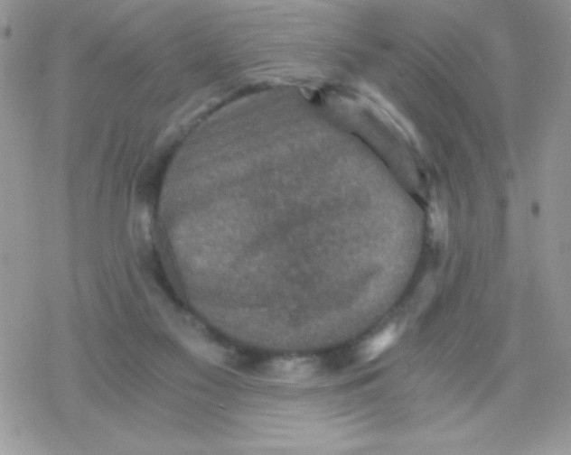 X0000078300117200611251518