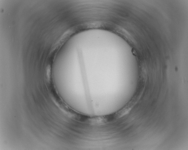 X0000078300118200611251518