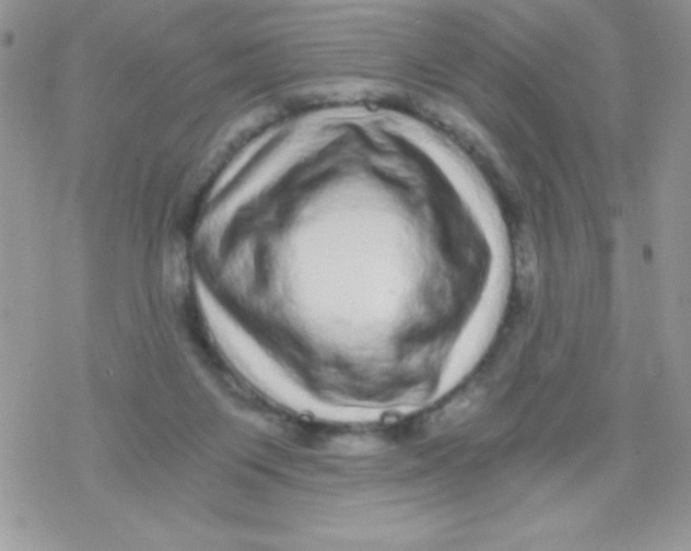 X0000078300119200611251518