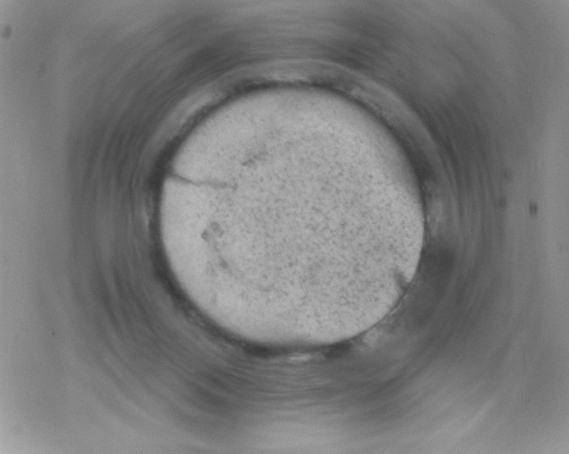 X0000078300120200611251518