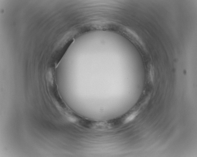 X0000078300121200611251518