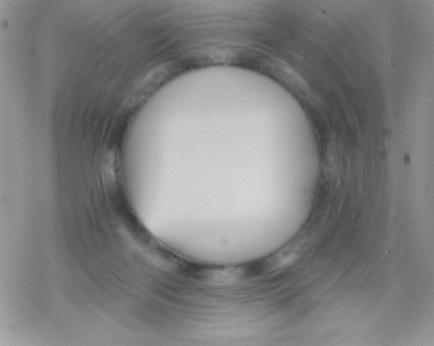 X0000078300122200611251518