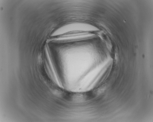 X0000078300123200611251518