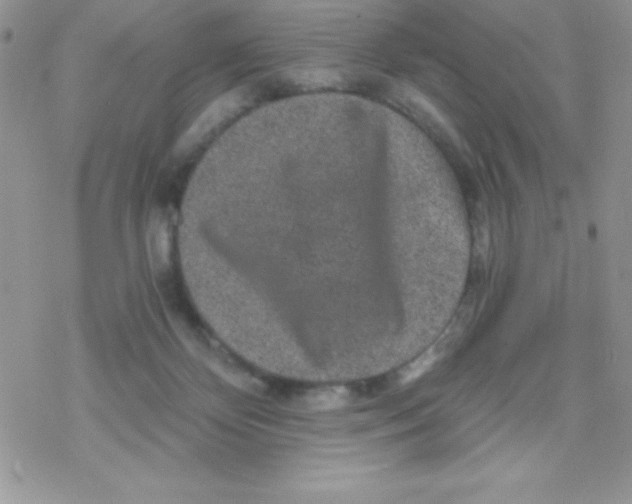 X0000078300124200611251518