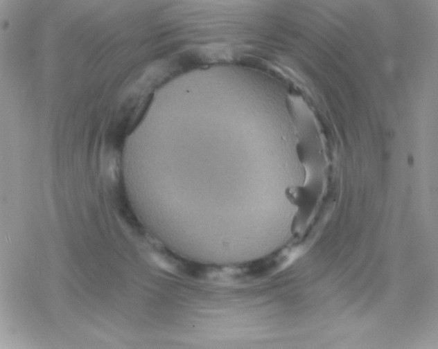 X0000078300125200611251518