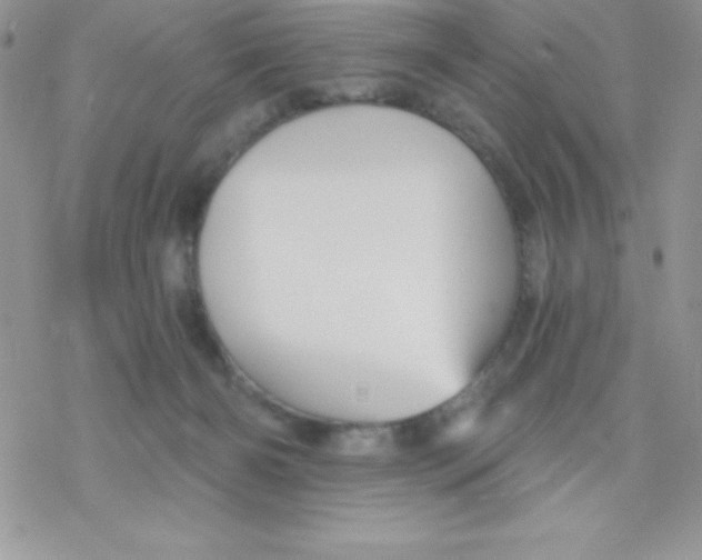 X0000078300126200611251518