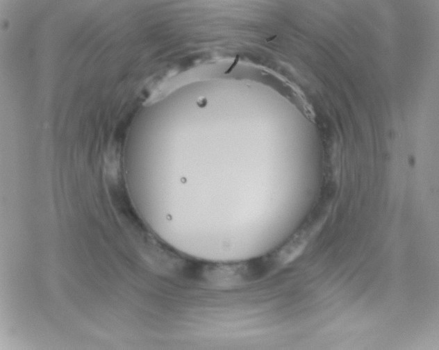 X0000078300129200611251518