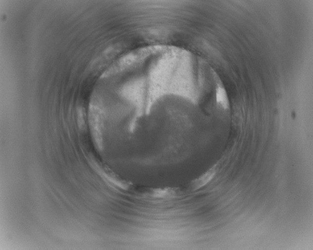 X0000078300130200611251518