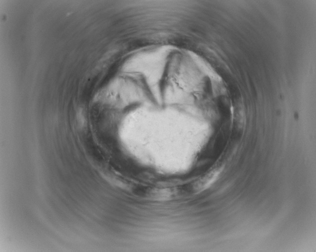 X0000078300131200611251518