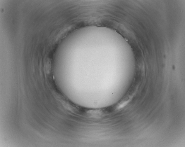 X0000078300133200611251518