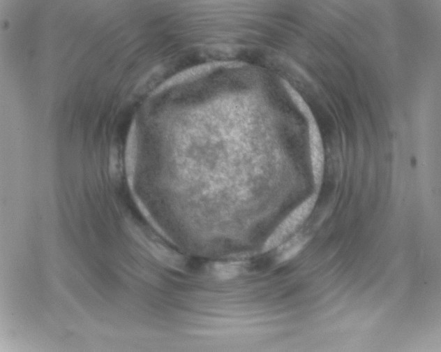 X0000078300134200611251518