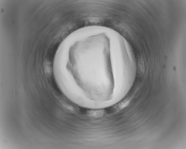 X0000078300135200611251518