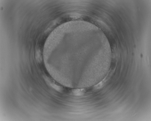 X0000078300136200611251518