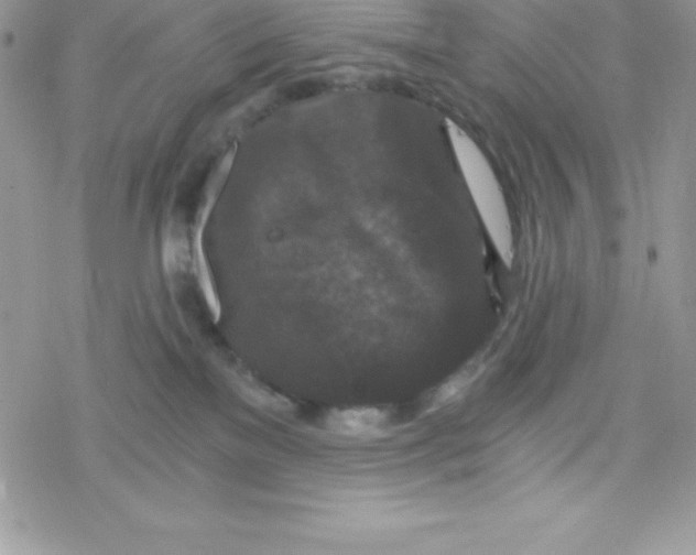 X0000078300137200611251518