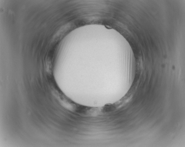 X0000078300138200611251518