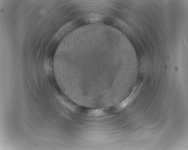 X0000078300140200611251518