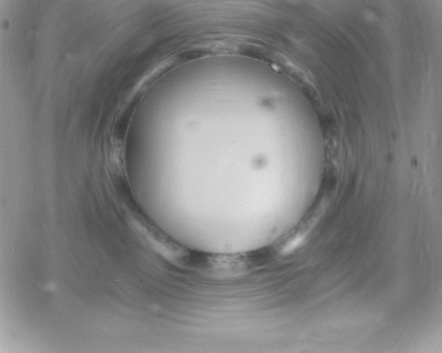 X0000078300141200611251518