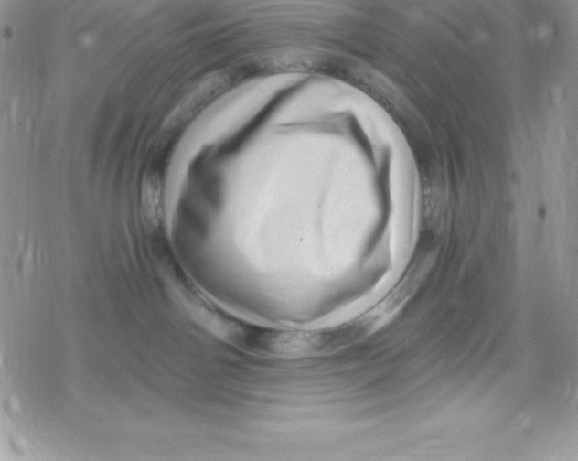 X0000078300142200611251518