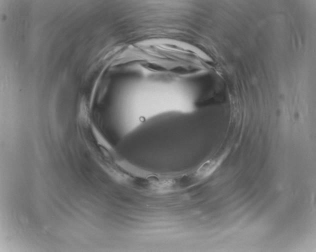 X0000078300143200611251518