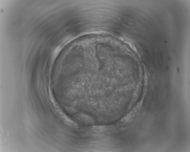 X0000078300145200611251517