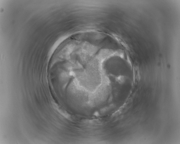 X0000078300147200611251517