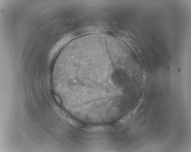 X0000078300149200611251517