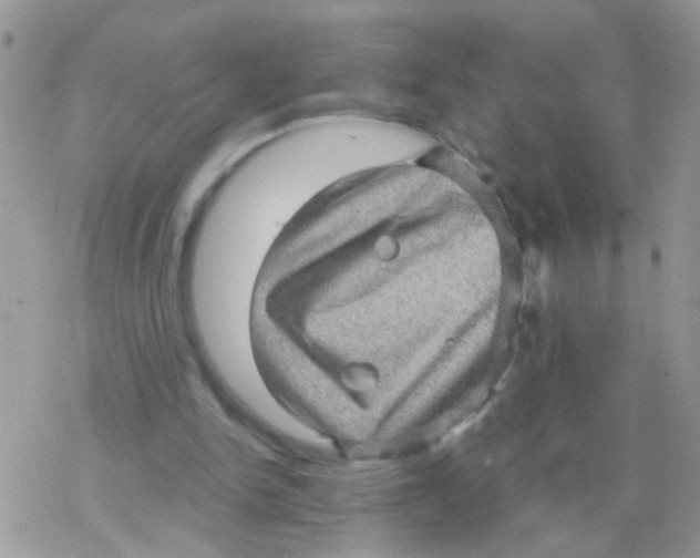 X0000078300150200611251517