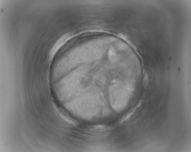 X0000078300151200611251517