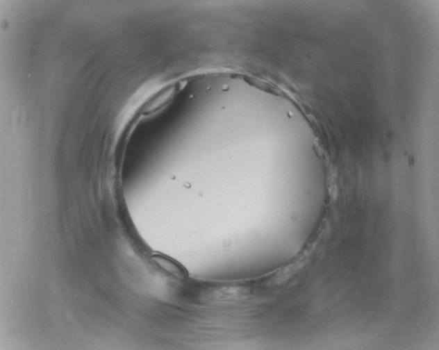 X0000078300152200611251517