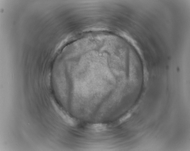 X0000078300153200611251517