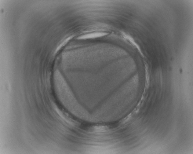 X0000078300154200611251517