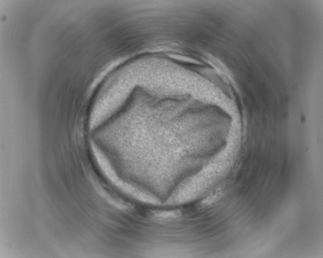 X0000078300155200611251517