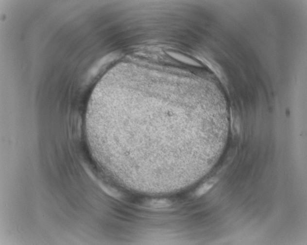 X0000078300157200611251517