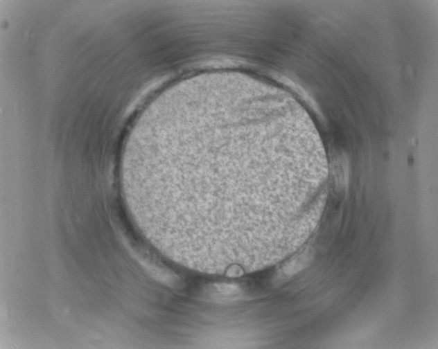 X0000078300159200611251517