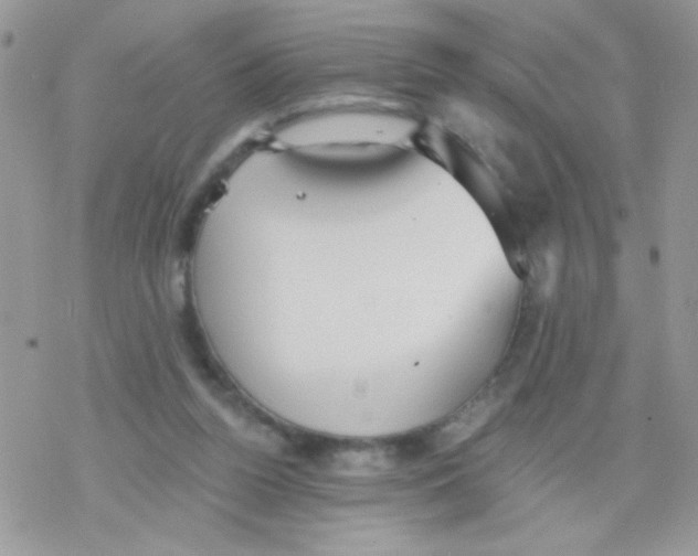 X0000078300160200611251517