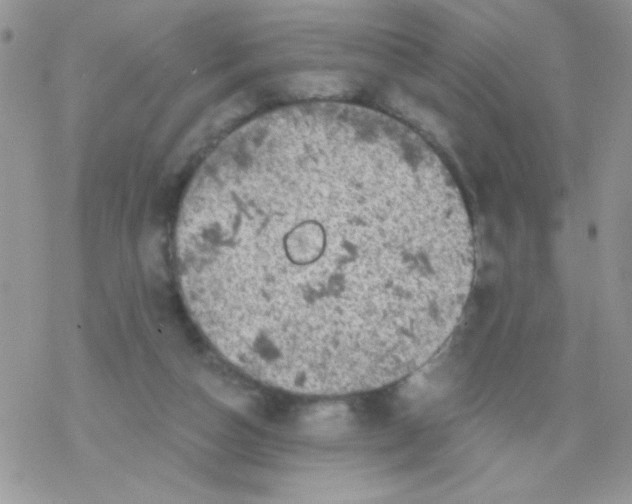 X0000078300162200611251517