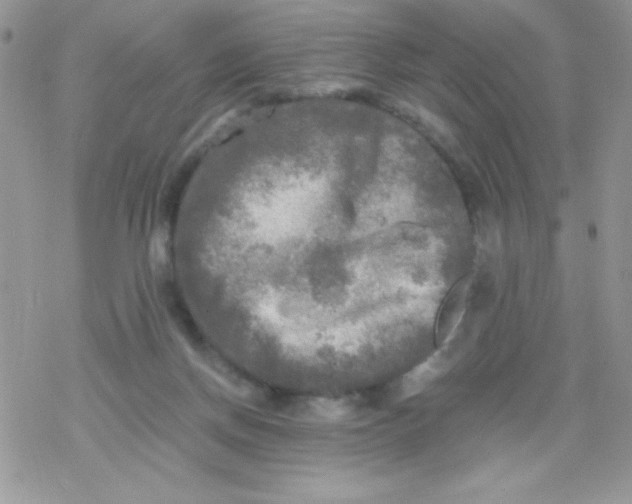 X0000078300166200611251517